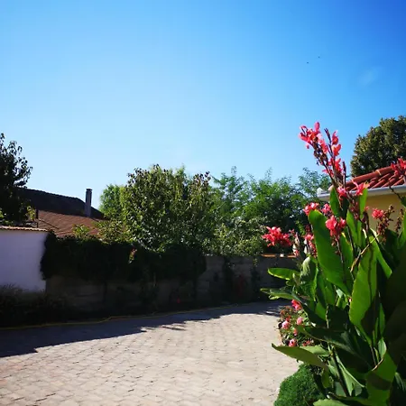 Ráday Apartman