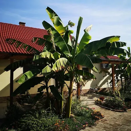 Raday Διαμέρισμα *